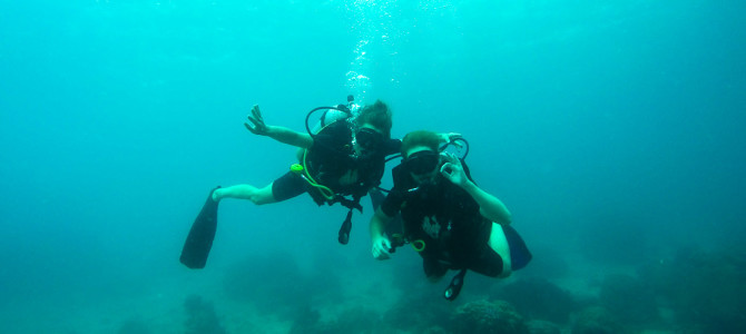 Diving in Koh Tao