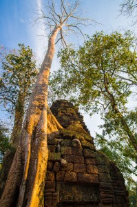 siamreap-16  