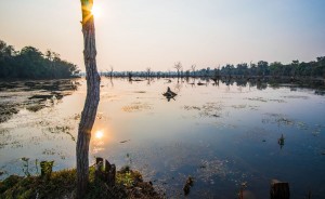 siamreap-42  