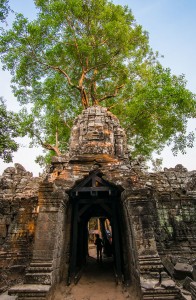 siamreap-43  