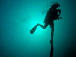 Koh_Tao-11 