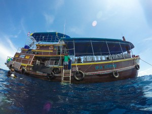 Koh_Tao-18 