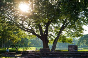 Sukhothai-12         