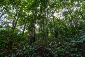 Chiang_Mai-21   