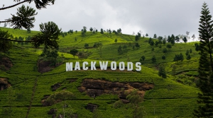    Mackwoods          