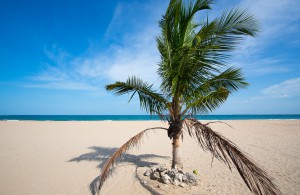 Kalkudah Beach    