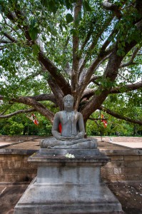 Anuradhapura-07   