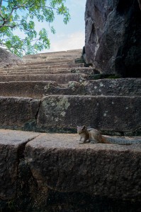 Anuradhapura-15   